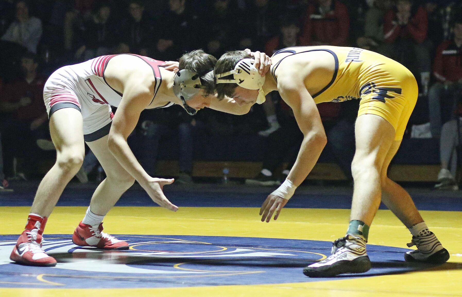 Travis Moelter